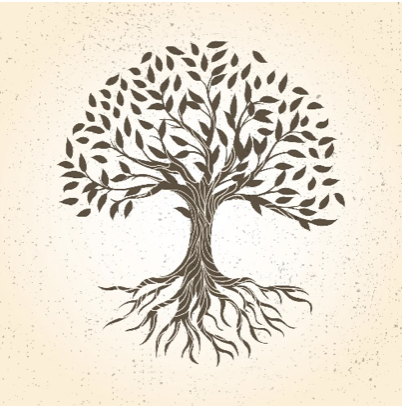 Un dessins représentant un arbre et ses racines