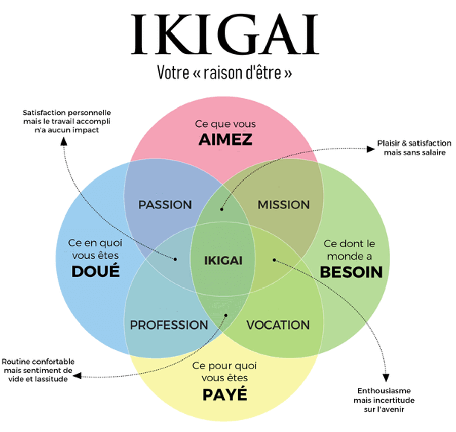 Illustration d'un schéma de l'Ikigaî