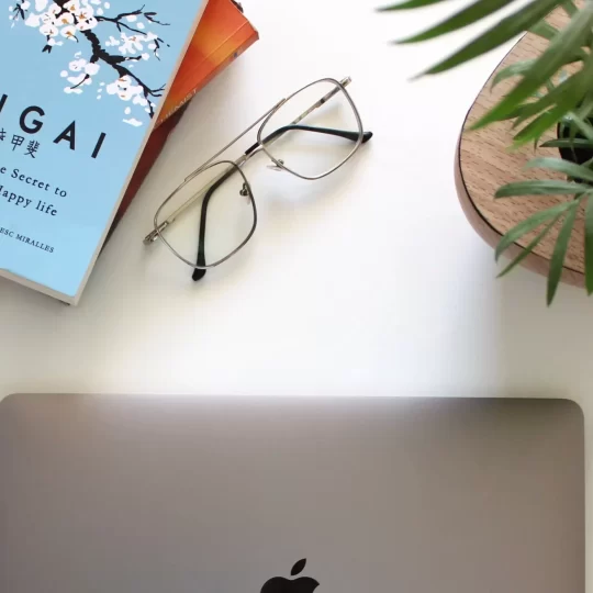 Photo d'un ordinateur avec un livre Ikigai.